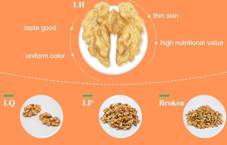 2020 Xinjiang Chinese cheap red walnuts kernel light halves