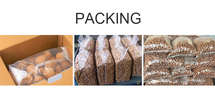 2020 Xinjiang Chinese cheap red walnuts kernel light halves