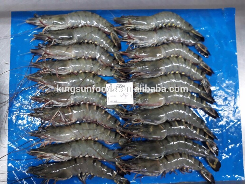 Good Quality Hot sale Cheap IQF frozen hlso black tiger shrimp,China ...