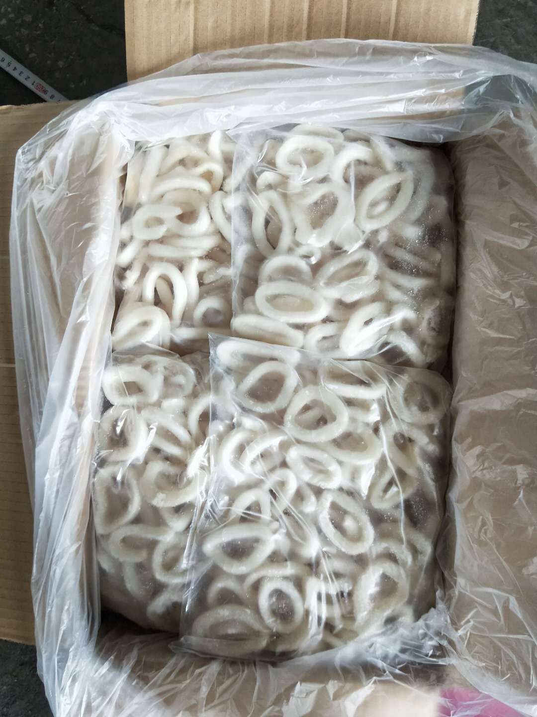 Frozen IQF black squid ring frozen squid ring giant squid ring price