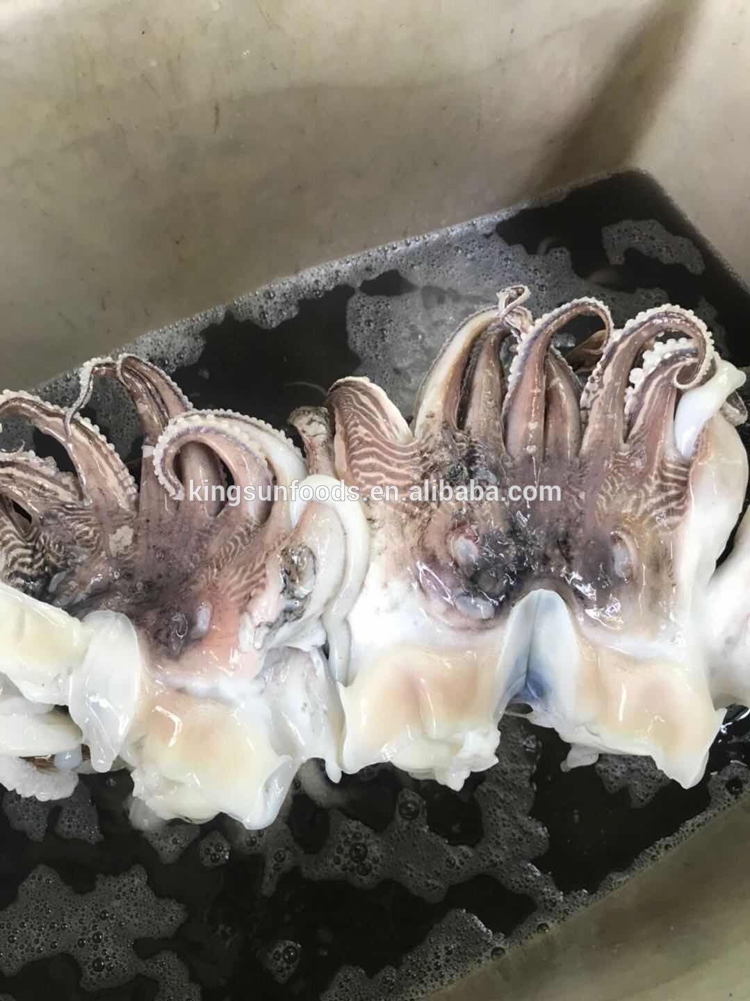 China Tentacle With Head, Tentacle With Head Wholesale, Manufacturers,  Price