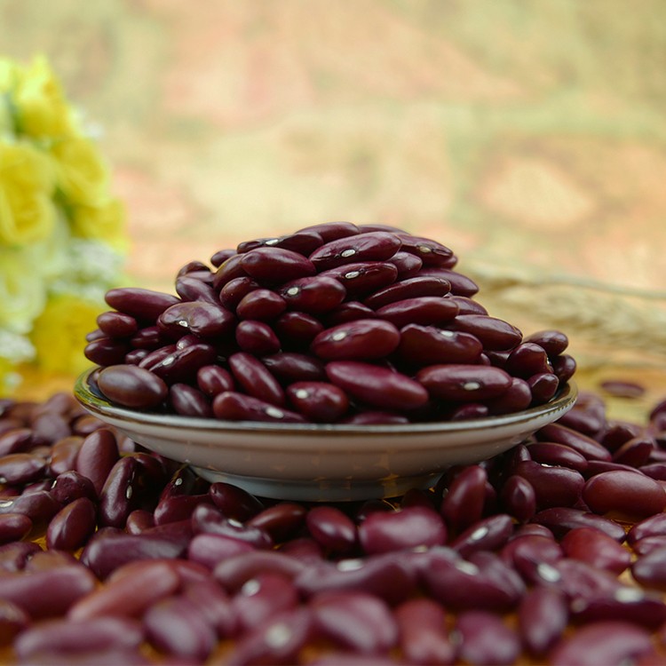 Dark red kidney bean,red bean