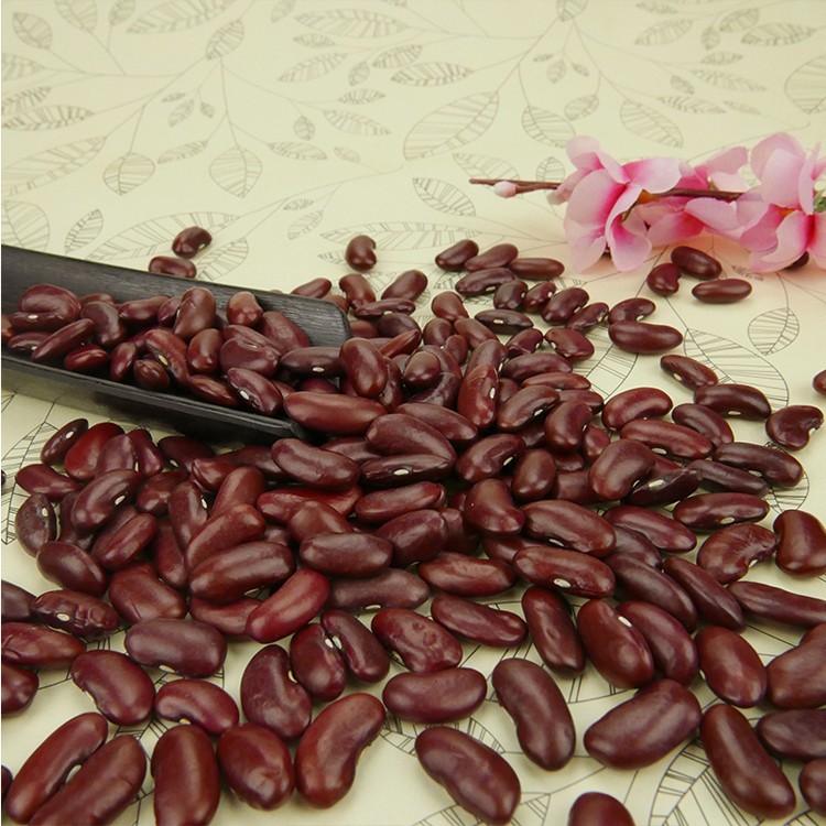 Dark red kidney bean,red bean