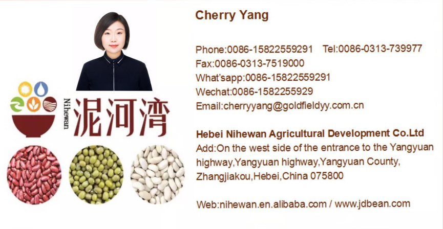 Dark red kidney bean,red bean
