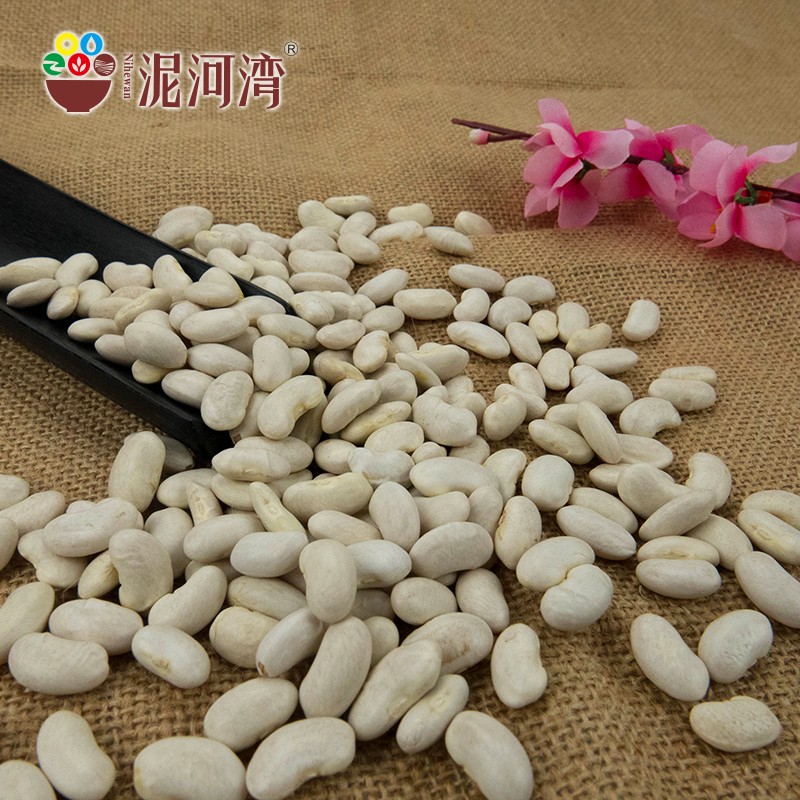 Healthy natural white kidney beans available for wholesale