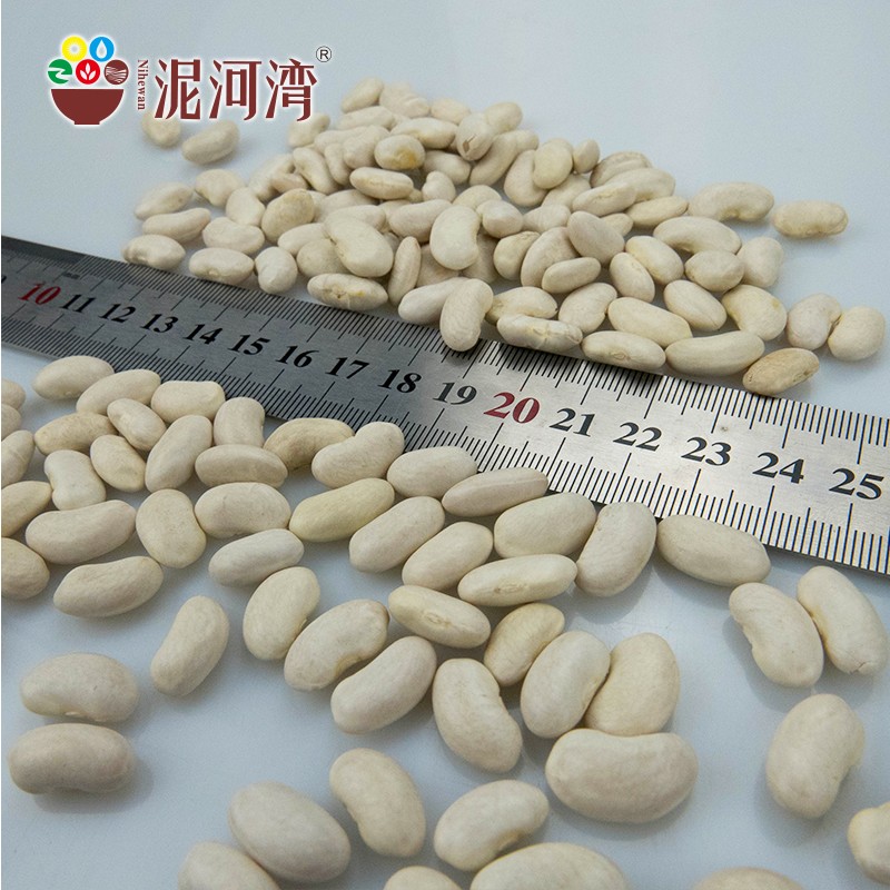 Healthy natural white kidney beans available for wholesale