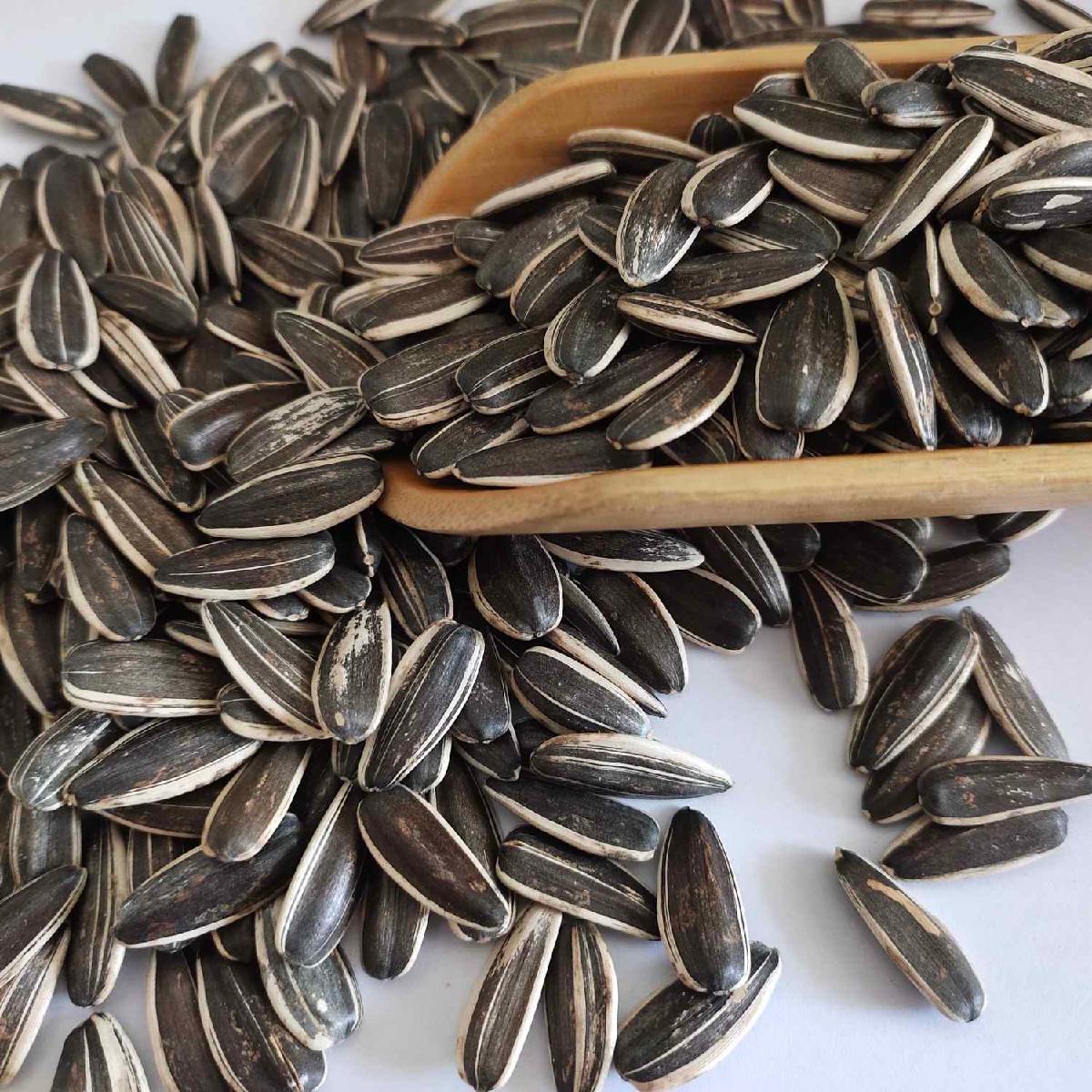 types-of-sunflower-seeds-for-exporting-361-china-price-supplier-21food