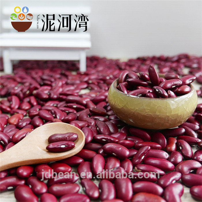 Britain Dark Red Kidney Beans for  canned food