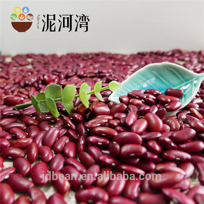 Britain Dark Red Kidney Beans for  canned food