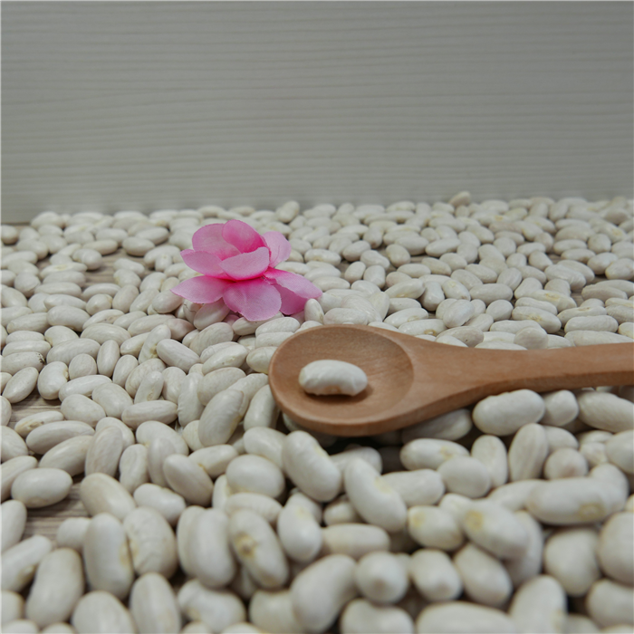 2019 crop white kidney beans from China