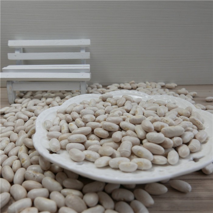 2019 crop white kidney beans from China