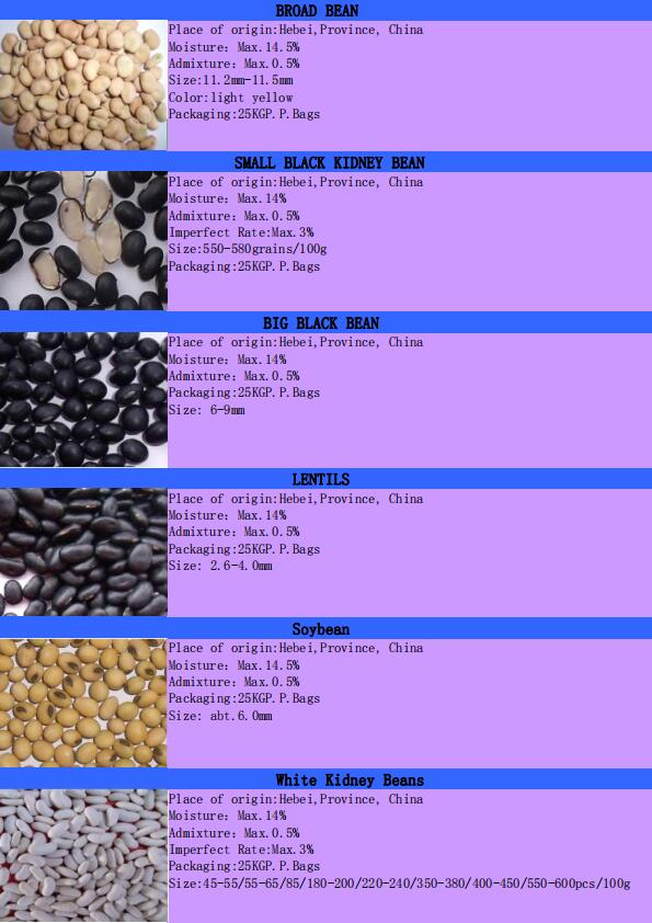 2019 crop white kidney beans from China