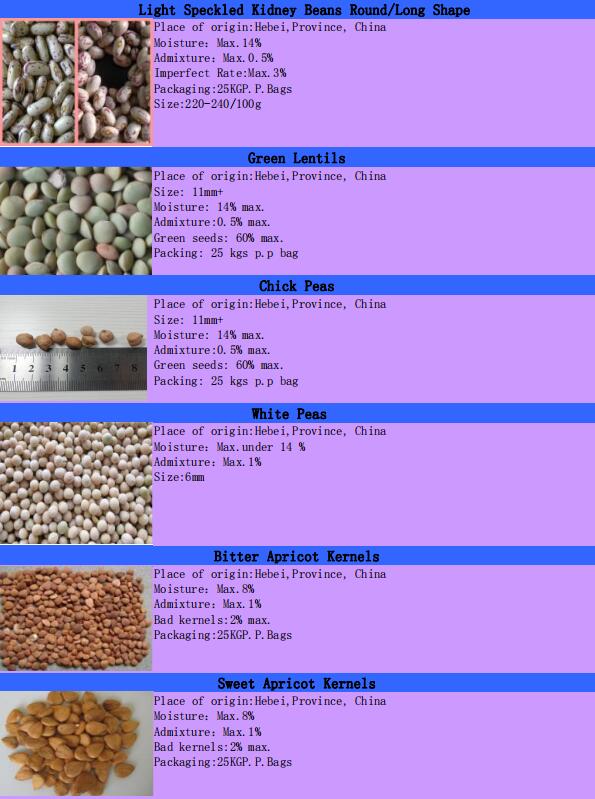 2019 crop white kidney beans from China