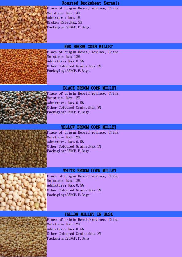 2019 crop white kidney beans from China