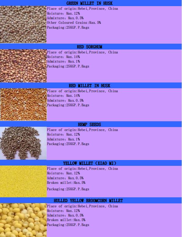 2019 crop white kidney beans from China