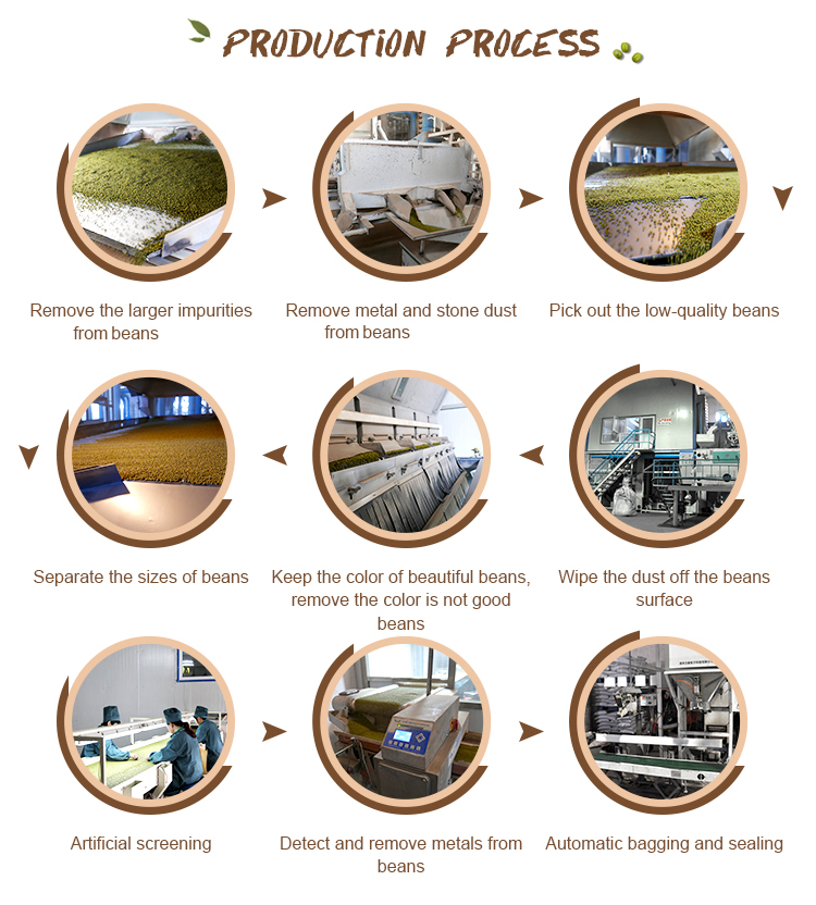 2019 crop white kidney beans from China