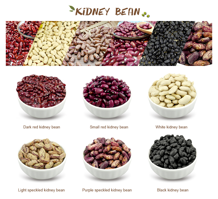 2019 crop white kidney beans from China