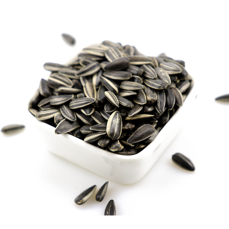Chinese Origin best quality sunflower seed Competitive prices