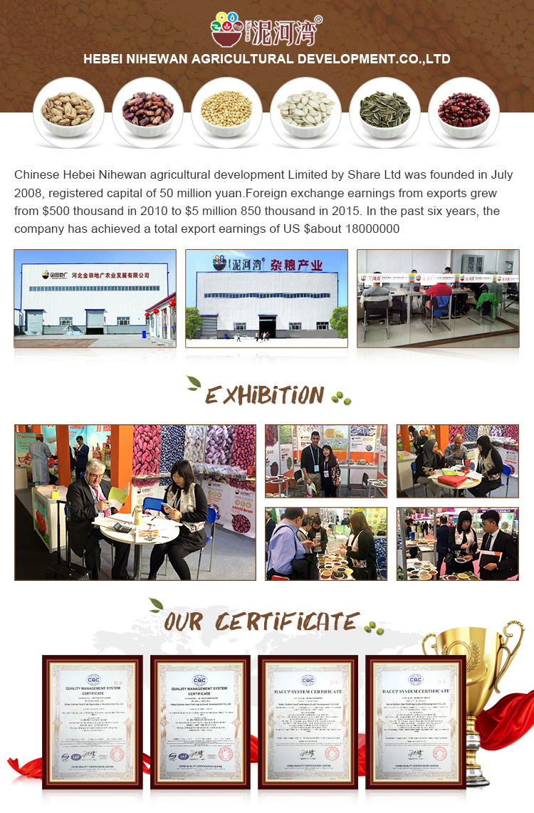 Chinese Origin best quality sunflower seed Competitive prices