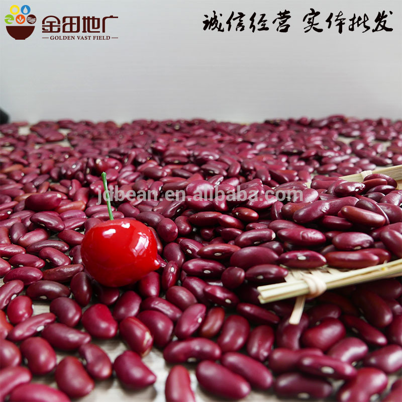 Dark Red Kindey Bean With Good Quality Best Price