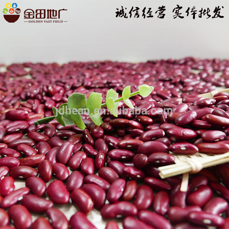 Dark Red Kindey Bean With Good Quality Best Price
