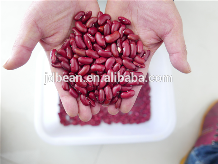 Types of kidney beans Chinese big size good price Dark Red Kidney Beans