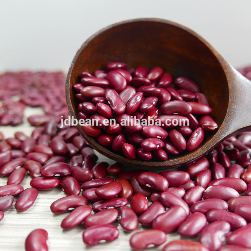 Types of kidney beans Chinese big size good price Dark Red Kidney Beans