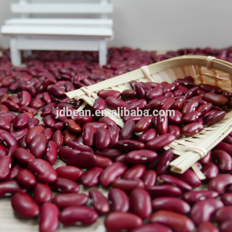 Types of kidney beans Chinese big size good price Dark Red Kidney Beans