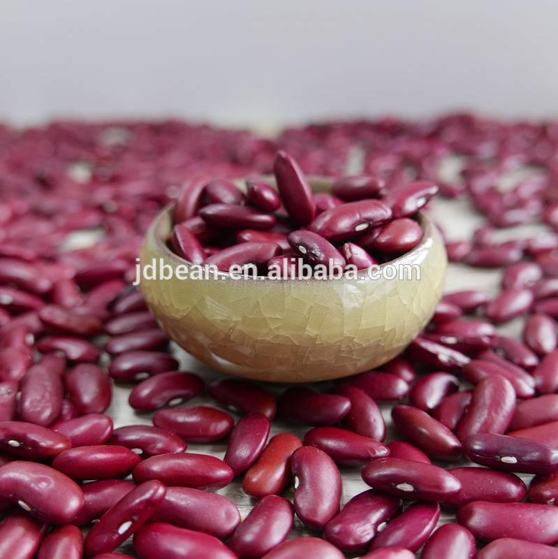 Types of kidney beans Chinese big size good price Dark Red Kidney Beans