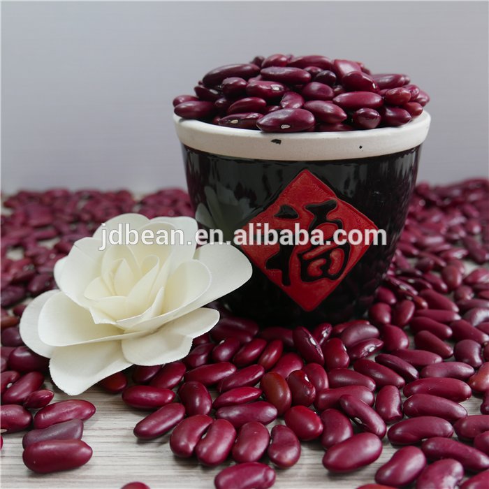 Types of kidney beans Chinese big size good price Dark Red Kidney Beans