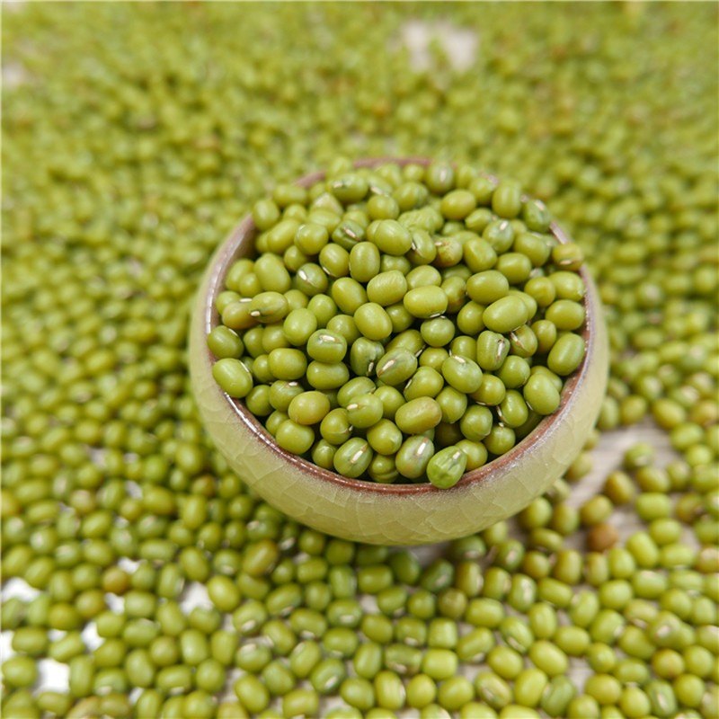 prime quality Green Mung Beans for sprouting,MC,2019 type,,China price ...