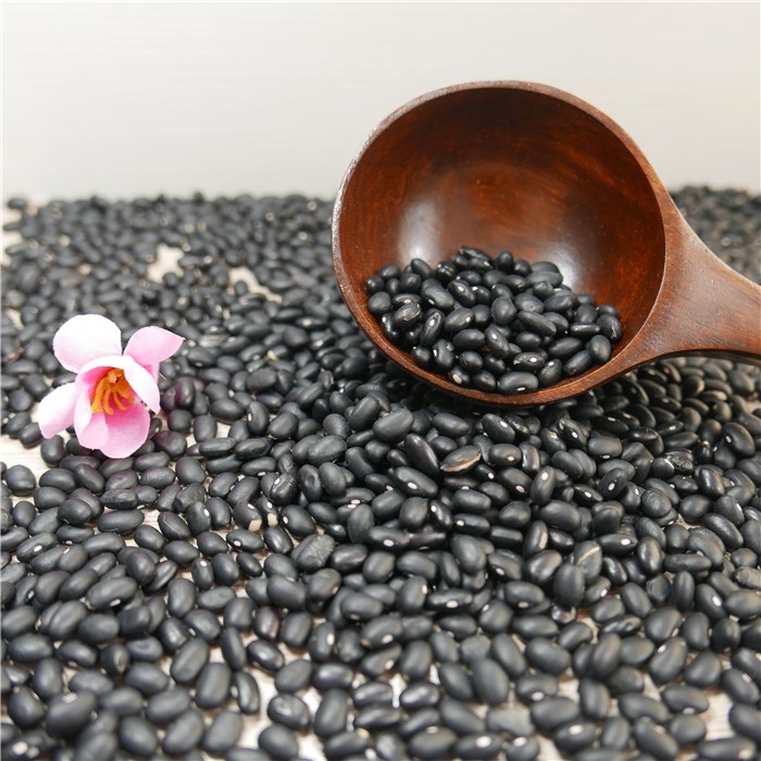 Black bean,Dry bean, Black kidney bean for hot sale,China price