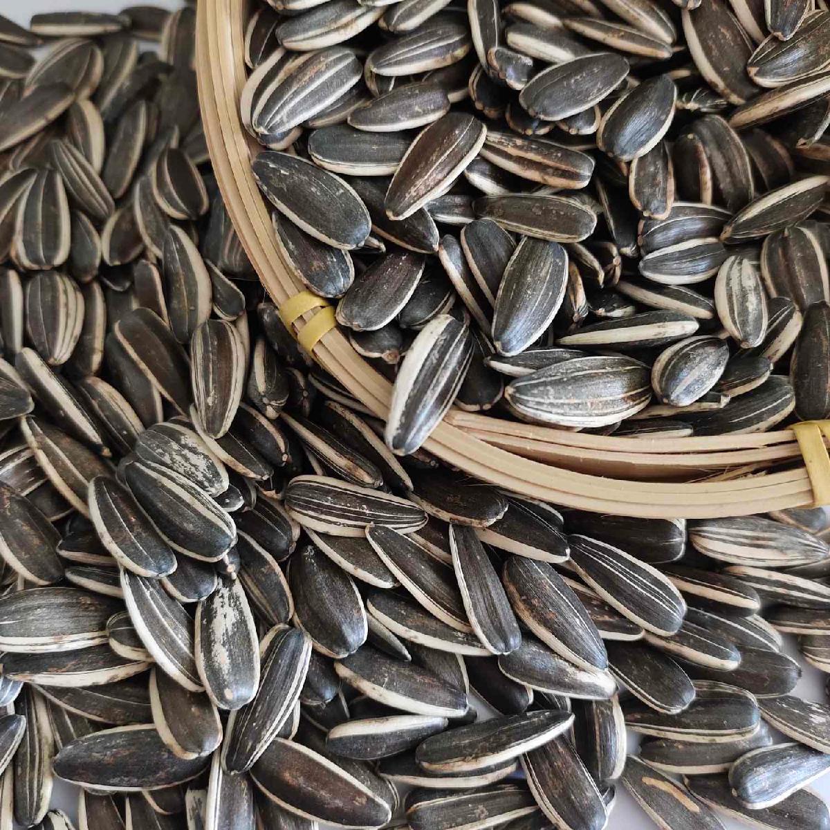 Types of Sunflower seeds for human consumption,China price supplier ...