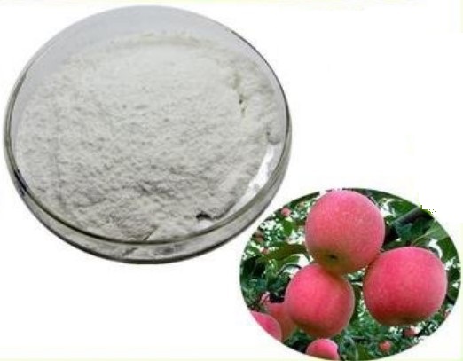 best price apple cider vinegar powder vingar powder