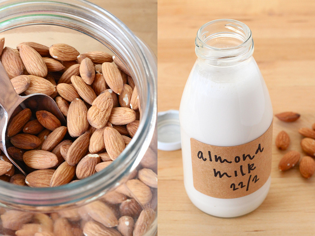 Skimmed Milk Powder 25kg Bulk Bag - Food Ingredients - (ISO, HACCP, ORGANIC, HALAL)