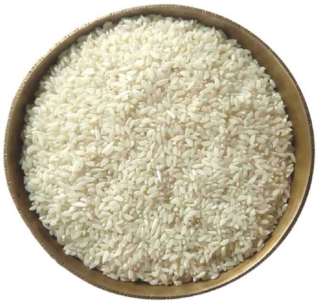LONG AND SHORT GLUTINOUS RICE