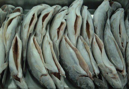 Frozen Pacific Mackerel - Seafrozen Fresh - A+ Market Grade - Factory Direct Partner