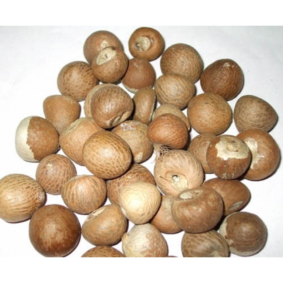 dry-dried-betel-nut-areca-nut-price-thailand-price-supplier-21food