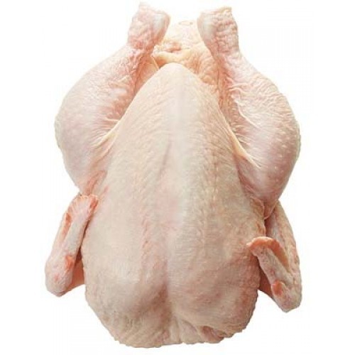 Halal Frozen Chicken Gizzard