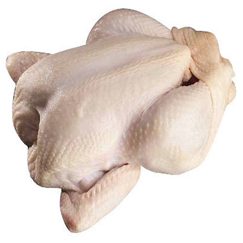 Halal Frozen Chicken Gizzard