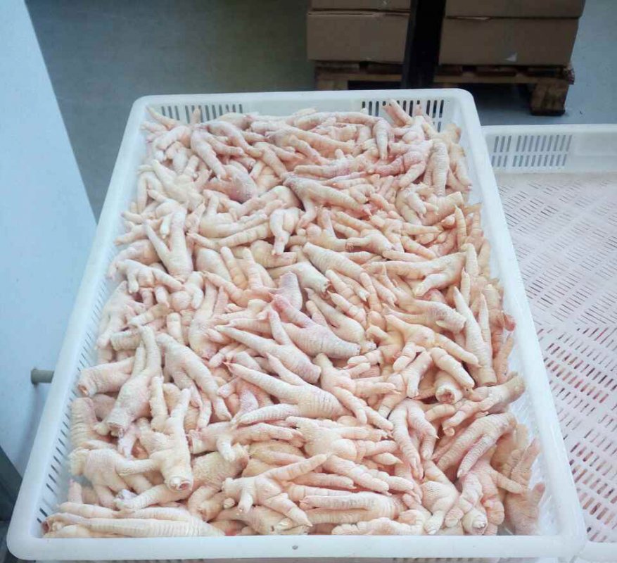 Halal Frozen Chicken Gizzard