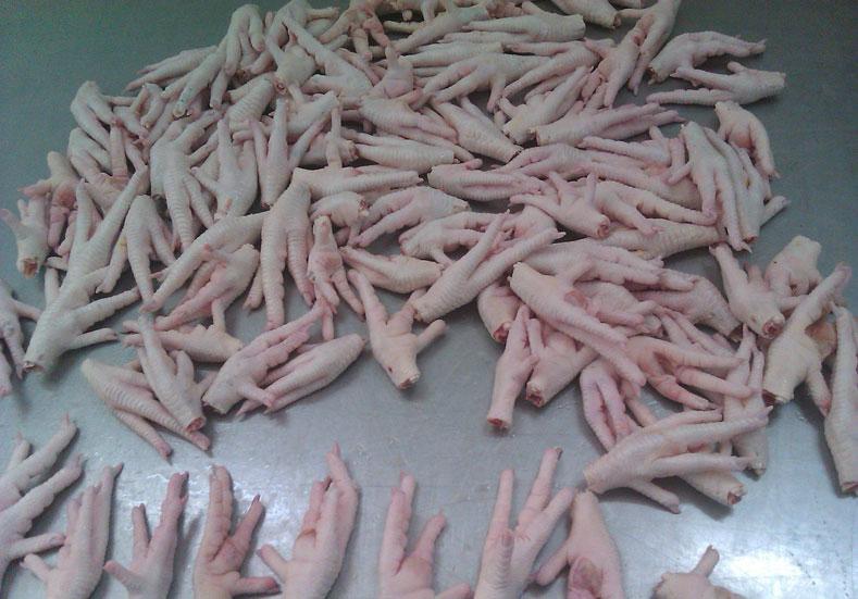 Halal Frozen Chicken Gizzard
