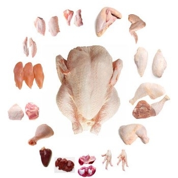 Halal Frozen Chicken Gizzard