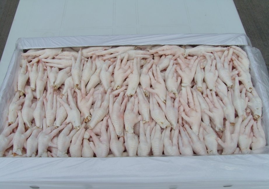 Frozen Chicken Breast - Skinless Boneless Chicken Breast Fillet/ Halal