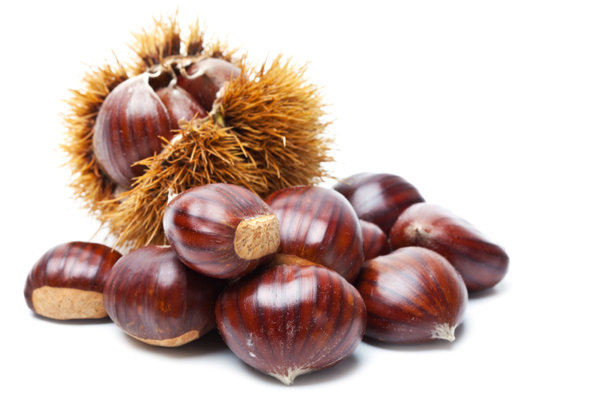 Hot Selling Frozen Peeled Roasted Chestnut Organic IQF Chestnut with lowest price