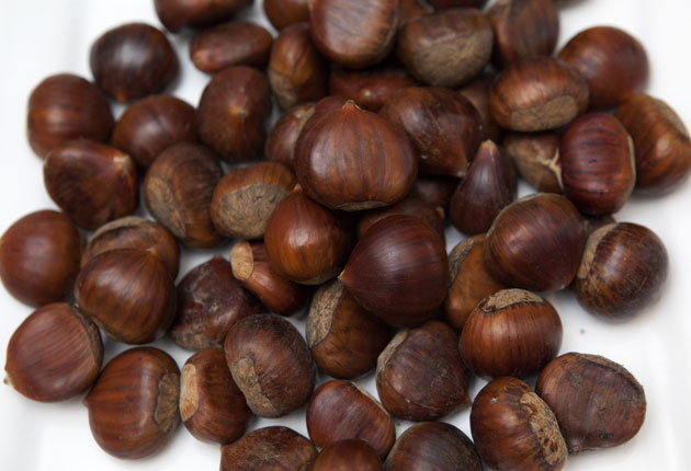 Hot Selling Frozen Peeled Roasted Chestnut Organic IQF Chestnut with lowest price