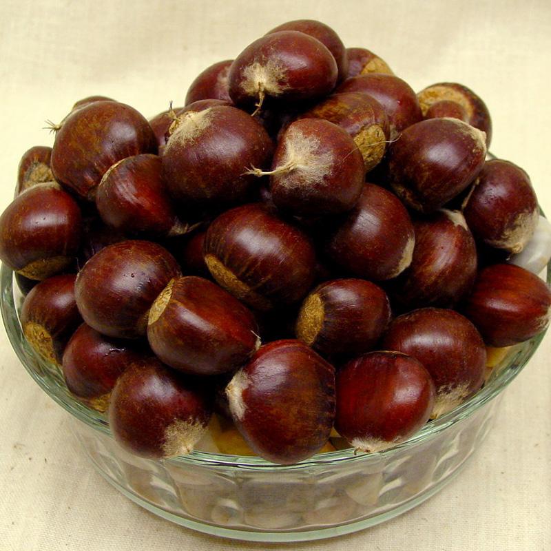 Hot Selling Frozen Peeled Roasted Chestnut Organic IQF Chestnut with lowest price