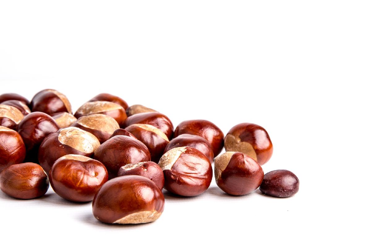 Hot Selling Frozen Peeled Roasted Chestnut Organic IQF Chestnut with lowest price
