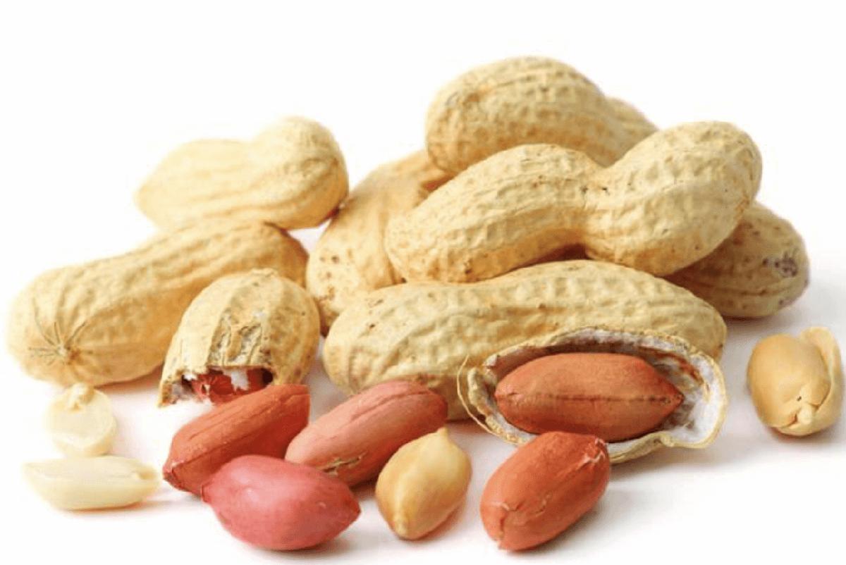 Arachis Peanut ,Dried Kernel Peanuts Groundnut Raw/Fresh Red Skin arachis for Sales