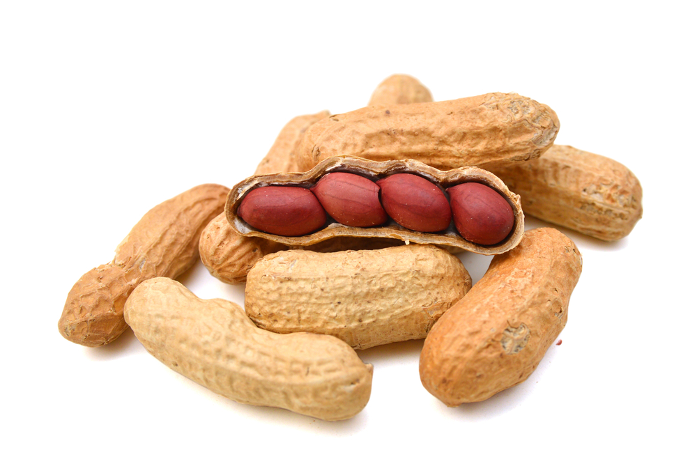 Arachis Peanut ,Dried Kernel Peanuts Groundnut Raw/Fresh Red Skin arachis for Sales
